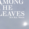 Sun Kil Moon: <i>Among the Leaves</i>