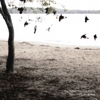 The Tallest Man on Earth: <i>There's No Leaving Now</i>