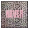 Micachu and the Shapes: <i>Never</i>