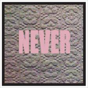 Micachu and the Shapes: <i>Never</i>