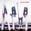 Ariel Pink's Haunted Graffiti: <i>Mature Themes</i>