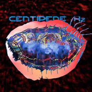Animal Collective: <i>Centipede Hz</i>