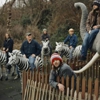 Album Stream: The Bees - <i>Every Step’s A Yes</i>