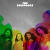 Video Premiere: The Sheepdogs Record New LP with The Black Keys' Patrick Carney