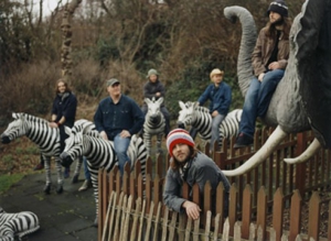 Album Stream: The Bees - <i>Every Step’s A Yes</i>
