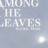 Song Premiere: Sun Kil Moon - "Track Number 8"