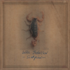 Song Premiere: Will Johnson - "You Will Be Here, Mine"