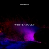 Song Premiere: White Violet - "4am"