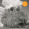 Album Stream: William Elliott Whitmore - <i>Field Songs</i>