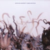 Album Stream: Stephin Merritt - <i>Obscurities</i>