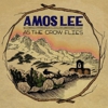 Album Stream: Amos Lee - <i>As The Crow Flies EP</i>