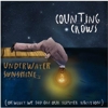 Counting Crows - <i>Underwater Sunshine</i> Track By Track