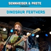 Live From SXSW: Dinosaur Feathers - "Vendela Vida"