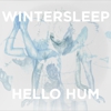 Song Premiere: Wintersleep - "Nothing Is Anything (Without You)"