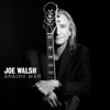 Song Premiere: Joe Walsh - "Lucky That Way"
