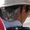 Awesome of the Day: Backpacking Kitty