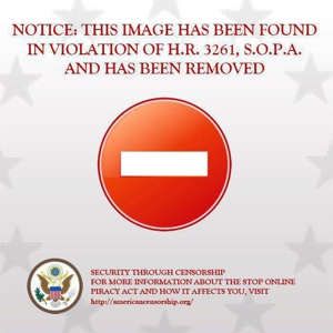 The Official SOPA Protest Song: "The Day the LOLCats Died"