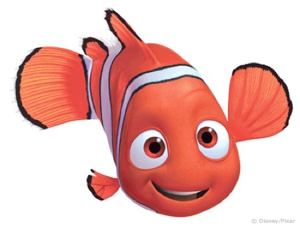 Baby Clownfish (Awesome of the Day)