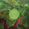Free MP3: Colour Revolt - "Moat"