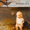 FREE MP3: The Rosebuds - "Woods"