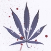 Download jj's "Ecstasy"