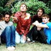 Download Stornoway's "Zorbing"