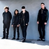 The xx Auctions Lightboxes for Amnesty International