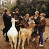 The 25 Best Beach Boys Covers
