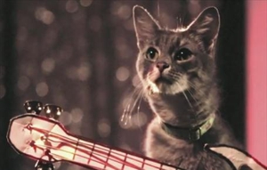 The 12 Best Music Videos Starring Animals