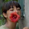 Seven Foreign Films to Look Forward to in August