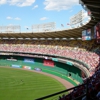 Musician Fans of All 30 MLB Teams Talk Baseball