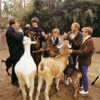 The 20 Best Beach Boys Songs