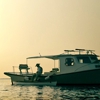 The Eight Best Films From True/False 2012