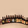 14 Imperial IPAs / Double IPAs Ranked