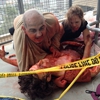 How I Survived the Zombie Apocalypse