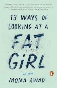 1. 13 ways of looking at a fat girl.jpg