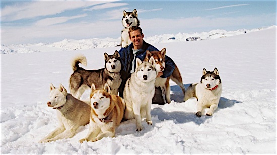 12_Eight_Below_Dogs.jpg