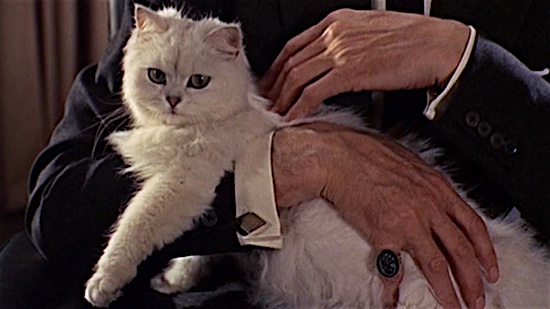 Memorable cats from movies | IMDB v2.3