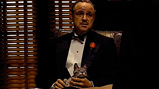 14-The-Godfather-Don-Corleone-Cat-100-Be