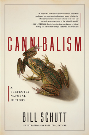 cannibalism schutt thinks scientist pouco canibalismo civilizado perfeitamente taboo exploring topic times observador