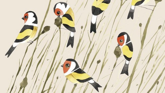 A Charm of Goldfinches? Matt Sewell Illustrates Quirky Animal Groups