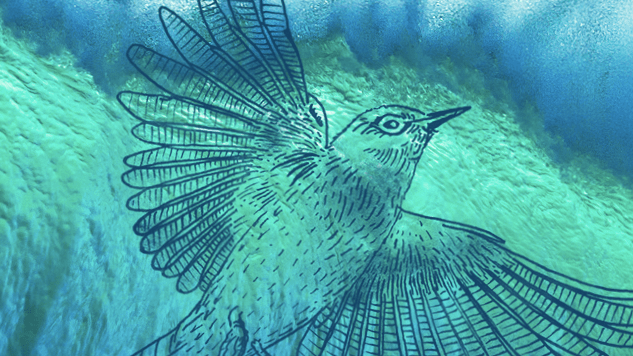 Exclusive Cover Reveal: <i>Summer Bird Blue</i> by Akemi Dawn Bowman