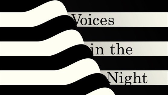 <i>Voices in the Night</i> by Steven Millhauser Review