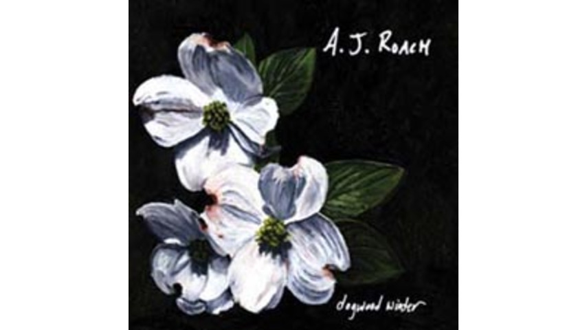 A.J. Roach - Dogwood Winter