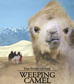 The Story of The Weeping Camel