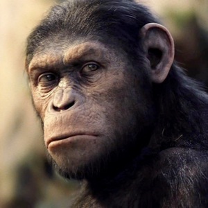 <i>Rise of the Planet of the Apes</i> review