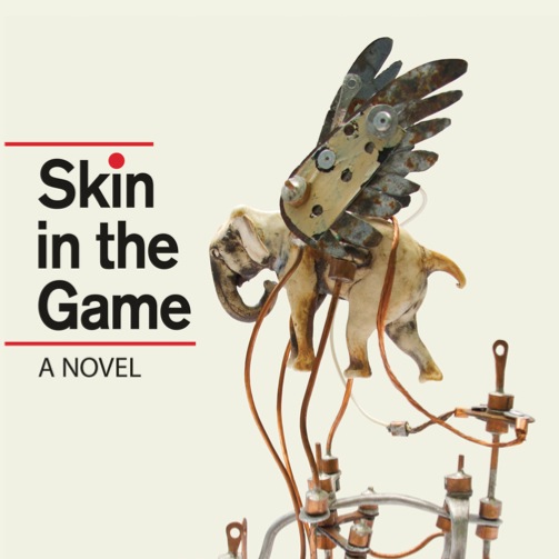 <i>Skin in the Game</i> by R.P. Finch