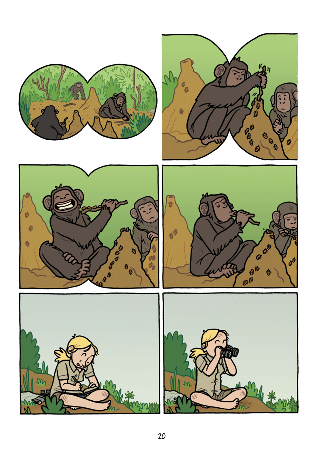 Primates_20.jpg