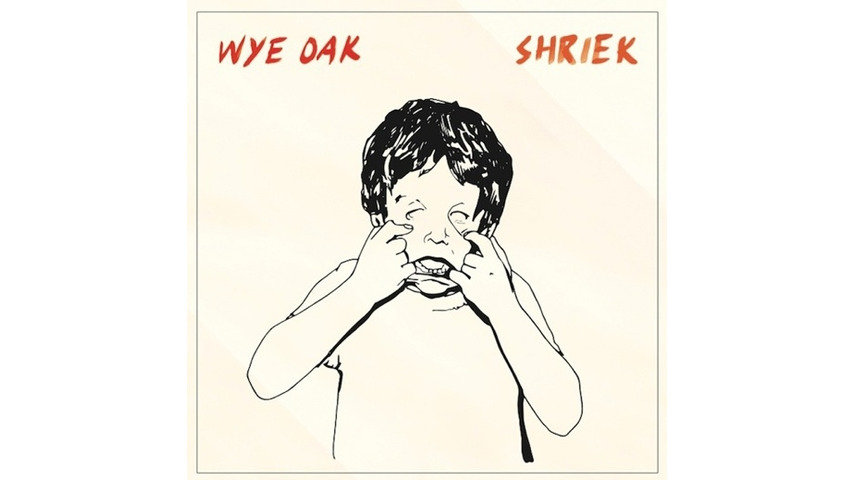Wye Oak: <i>Shriek</i> Review