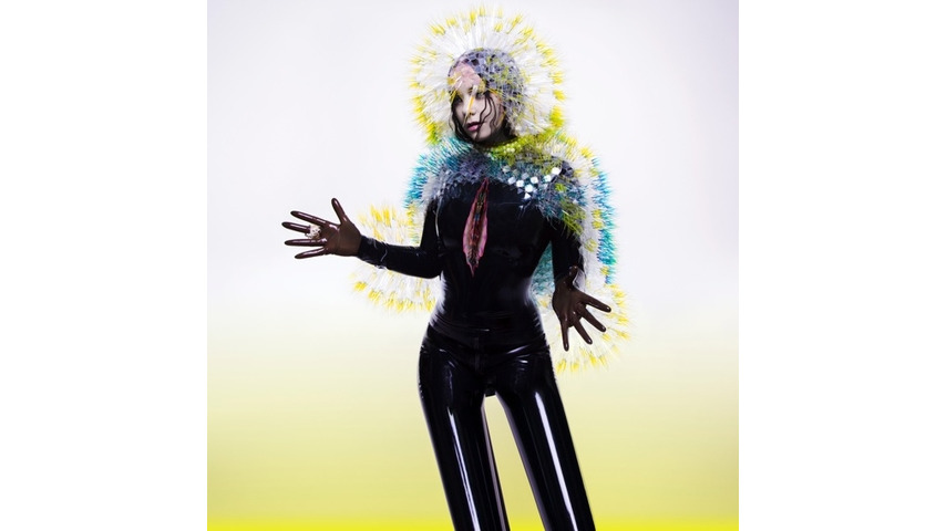 Björk: <i>Vulnicura</i> Review